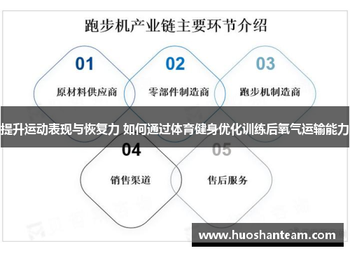 提升运动表现与恢复力 如何通过体育健身优化训练后氧气运输能力