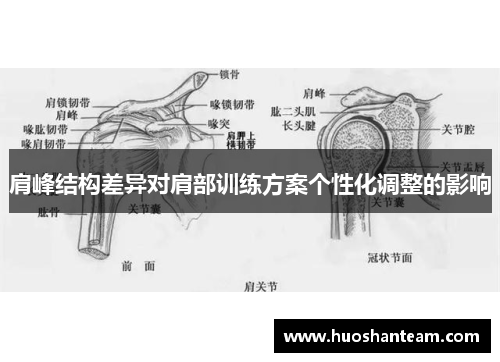 肩峰结构差异对肩部训练方案个性化调整的影响