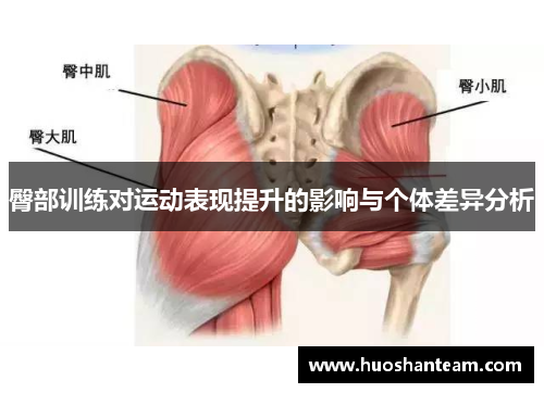臀部训练对运动表现提升的影响与个体差异分析